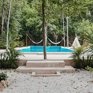 https://lunita-jungle-hotel.allrivieramayahotels.com